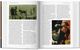 Thumbnail-13