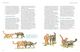 Thumbnail-2