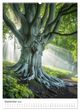 Thumbnail-14