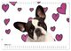 Thumbnail-11