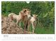 Thumbnail-11