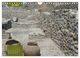Thumbnail-12