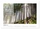 Thumbnail-12