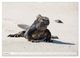 Thumbnail-12