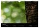 Thumbnail-11