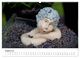 Thumbnail-9