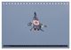 Thumbnail-14