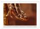 Thumbnail-14