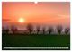 Thumbnail-13