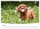 Thumbnail-11