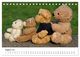 Thumbnail-10