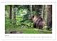 Thumbnail-12