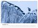 Thumbnail-14