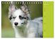 Thumbnail-9
