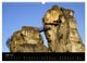 Thumbnail-8