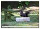 Thumbnail-13