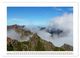 Thumbnail-13