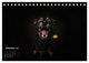 Thumbnail-14