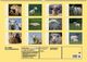 Thumbnail-13