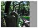 Thumbnail-9