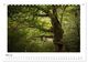Thumbnail-10