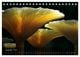 Thumbnail-14
