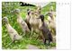 Thumbnail-12