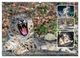 Thumbnail-14