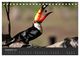 Thumbnail-14