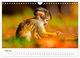 Thumbnail-10