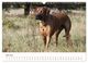 Thumbnail-11