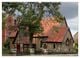 Thumbnail-9