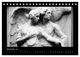 Thumbnail-14