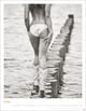 Thumbnail-10