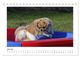 Thumbnail-11
