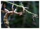 Thumbnail-13