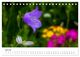 Thumbnail-9