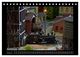 Thumbnail-13