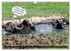 Thumbnail-13