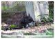 Thumbnail-14