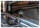 Thumbnail-12