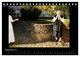 Thumbnail-14