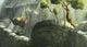 Thumbnail-11