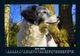 Thumbnail-10