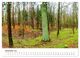 Thumbnail-14