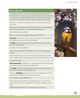 Thumbnail-12