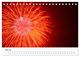 Thumbnail-10