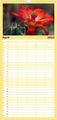 Thumbnail-8