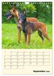 Thumbnail-14