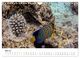 Thumbnail-10